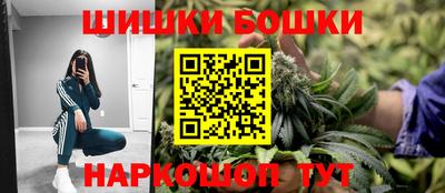 индика Кандалакша