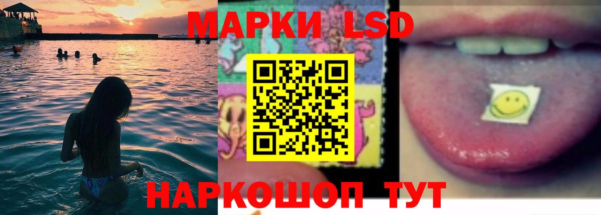 ЛСД экстази кислота  LSD-25 экстази  MEGA зеркало  Сунжа  Лсд 25 экстази кислота  Вход с VPN 