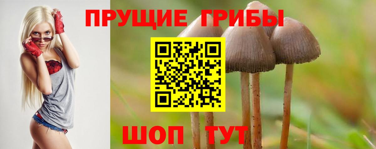Псилоцибиновые грибы Magic Shrooms Сунжа